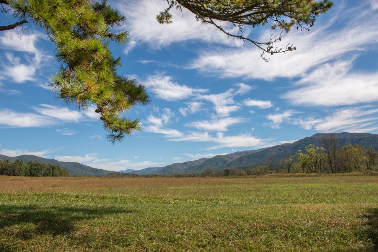 Sweet Serenity Pigeon Forge Exteriör bild